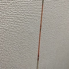 ヘチ竿？　釣竿の画像