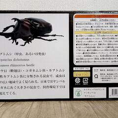 ネイチャーアカデミックフィギュア  カブトムシの画像