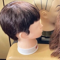 カット済ウィッグ 坊主ウィッグ かかしの頭にの画像