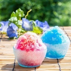 🍧かき氷パーティー🍧in代々木公園