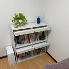 4枚フラップ書棚の画像