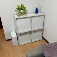 4枚フラップ書棚の画像