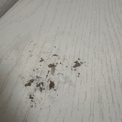 4枚フラップ書棚の画像