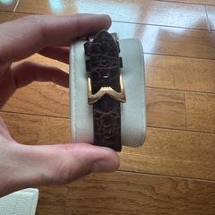 ガガミラノの画像