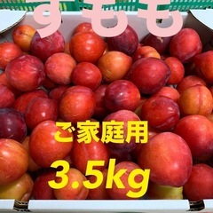 【受付終了】和歌山県産すもも☆訳あり3.5kg 