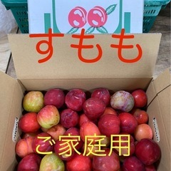 【受付終了】和歌山県産すもも☆訳あり2kg