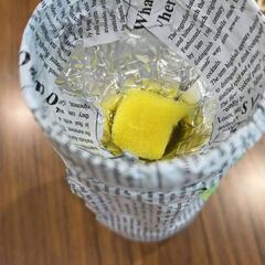 🌿✨ 会議室で新鮮野菜を育ててみませんか？ ✨🌿 - メンバー募集