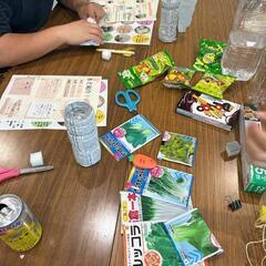 🌿✨ 会議室で新鮮野菜を育ててみませんか？ ✨🌿 - その他