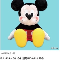 ぬいぐるみ　ミッキーの画像
