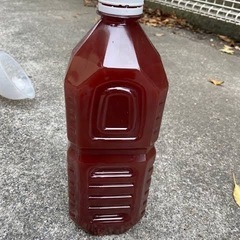PSB エビオス錠