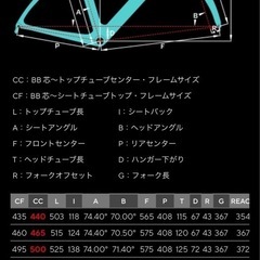 買ってください　ピナレロ PINARELLO ガン GAN 550サイズ シマノ 105 カーボン ロードバイクの画像
