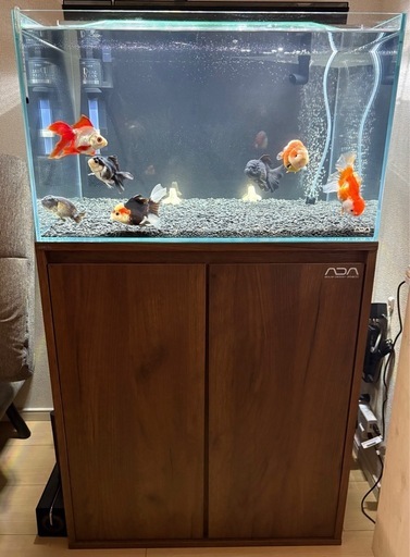 引き取り限定 ADA 60cm水槽とGEX 木製水槽台セット 引き取り限定】60