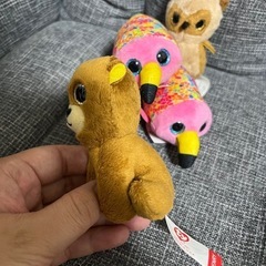 ぬいぐるみ ty 6点セット(ナマケモノが増えました)の画像