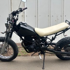 【動画あり】TW200 2JL カスタム　スパトラロンスイパワフィル　YAMAHAの画像