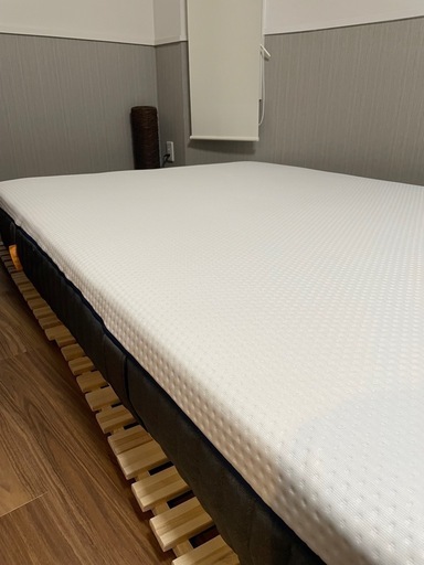 【新古品・定価10万円】エマ・プレミアム V2 プラス