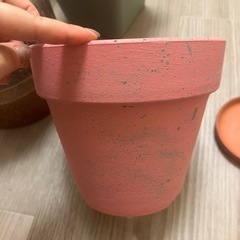 植木鉢