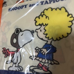 スヌーピピーナッツバッグの画像