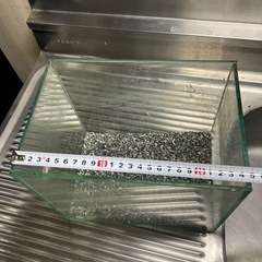 オールガラス水槽の画像