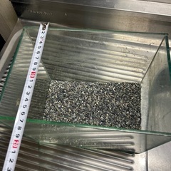 オールガラス水槽の画像