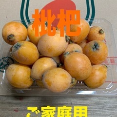 【受付終了】和歌山県産枇杷（びわ ）☆訳あり1パック