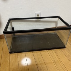 60センチ水槽