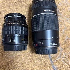 Canon EOS80D レンズセットの画像