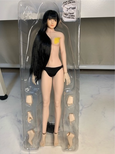 1/6   シームレスドール　TBleague   ヘッド付き
