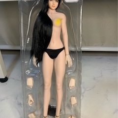 1/6   シームレスドール　TBleague   ヘッド付きの画像