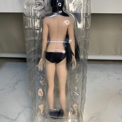 1/6   シームレスドール　TBleague   ヘッド付きの画像