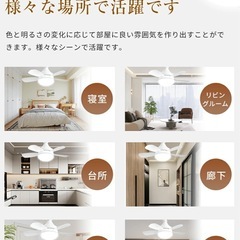 シーリングファンライト LED 口金E26対応 4畳 6畳 8畳の画像