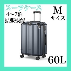 新品【60L】キャリーケース 機内持ち込み Mサイズ 拡張機能＆...