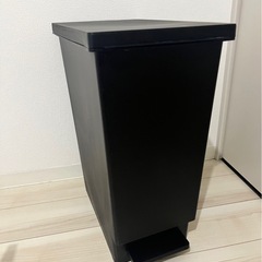 【受け渡し者確定】ニトリ　ゴミ箱　トップバリュー　押入れケース　の画像