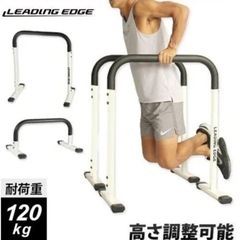 LEADING EDGE ディップススタンド バーの画像