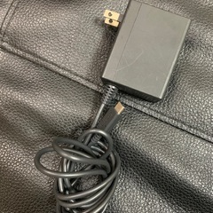 Nintendo Switch light　の画像