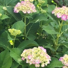 友達募集です。