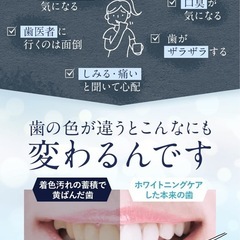 【新品】ホワイトニング 歯磨き ジェル 薬用 Pikatooth(ピカトゥース) ヤニ・黄ばみ取り 30g (1本)の画像