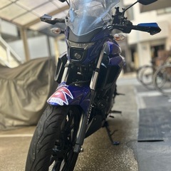 年式 2021  年ヤマハFZ250 Yamaha ヤマハ　神奈川県横浜市です。の画像