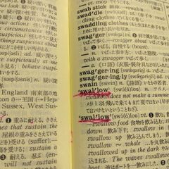『新クラウン英和辞典　改訂版』川村重治郎編　三省堂の画像