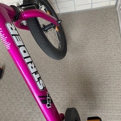 ストライダー 14x (STRIDER 14x) の画像