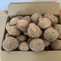 じゃがいも　5kg 香川県産