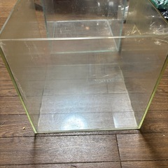 ADA アクアデザインアマノ　30センチキューブ水槽2個セット