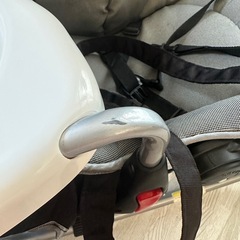 KATOJI new york baby の画像