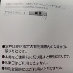 ナガシマスパーランドパスポートの画像