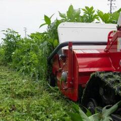 【自走式草刈機(ハンマーナイフモア)を使用して草刈り作業を致します】