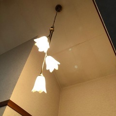 ★吹き抜け★吊り下げ電灯の画像