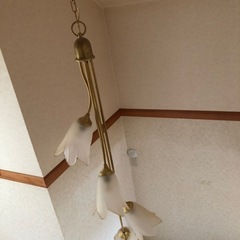 ★吹き抜け★吊り下げ電灯