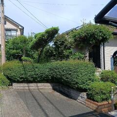 草刈りや剪定、伐採でお困りではありませんか？