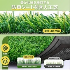 人工芝 ロール 2mx10m リアル感 芝丈30mm 高耐久 透水タイプ 防草シート 48本ピン付き ラッシュグリーン (2×10m)の画像