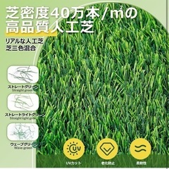 人工芝 ロール 2mx10m リアル感 芝丈30mm 高耐久 透水タイプ 防草シート 48本ピン付き ラッシュグリーン (2×10m)の画像