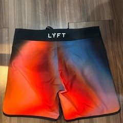 LYFT GRAPHIC STAG SHORTSの画像